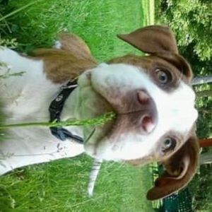 Meet your Posher, Jay